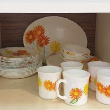 ارکوپال لومینارک و ملامین نو