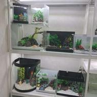 آکواریوم با کلیه لوازم