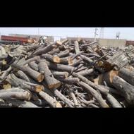 خریدوقطع‌درخت