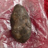 چند قطعه سنگ مشکوک به شهاب سنگ