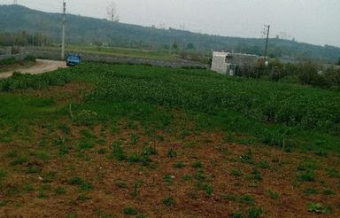 زمین کشاورزی و مسکونی 2700 متری توضیحاتم حتما بخونید