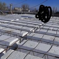 فوم 50 سانت نو