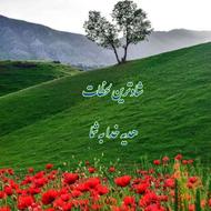 کارجوی رانندگی پاره وقت نیسان هم دارم. دنبال کار نیمه وقت