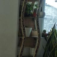 استند گل ... تعویض رنگ هم میشه