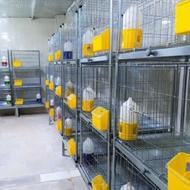 قفس کبوتر مرغ خرگوش سگ گربه...