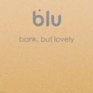 کسب درآمد از بلوبانک