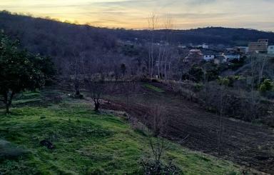 زمین در زرین آباد ساری