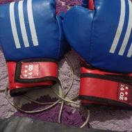 ی جفت دستکش بوکس