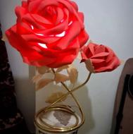 شبخواب گل رز