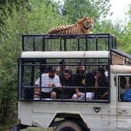 تور شمال (الیمالات)