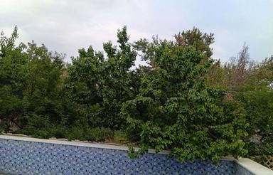 فروش ویژه باغ1000متری با120متربنای تکمیل شده