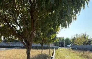 با سند تک‌ برگ‌ و جواز 200متر