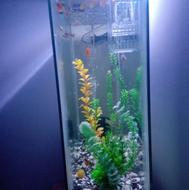 آکواریوم با میز