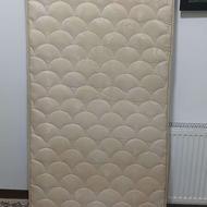 تشک نوجوان رویا