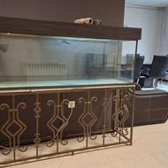 آکواریوم ماهی فول امکانات پایه فلز و سقف mdf