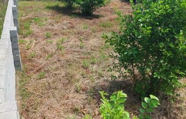 زمین شهرکی مناسب سرمایه گذاری محصور دیوار