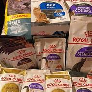 غذا خشک رویال کنین