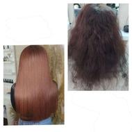 خدمات صافی و احیا