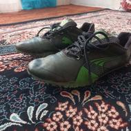 کفش میخی (دوومیدانی )