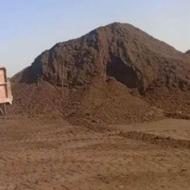 خریدار کود گوسفندی .گاوی