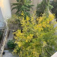 آپارتمان 240 متری در قیطریه