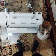 چرخ خیاطی کاچیران مدل جانتک sp 7000