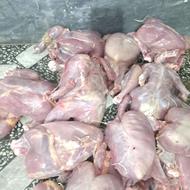 تلفات مرغ تازه برای سگ و گربه