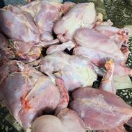 غذای سگ تلفات مرغ تازه برای سگ و گربه