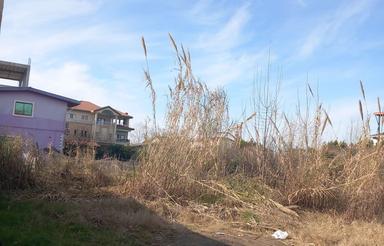 فروش زمین مسکونی ساحلی 560 متر در گلسار