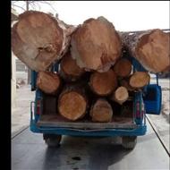 خریدار انواع چوب