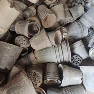 گلدان سبزه ریز