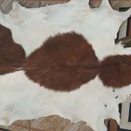 پوست گوسفند