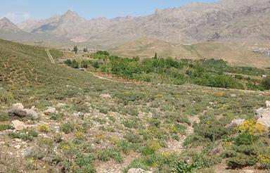 4دیواری با مجوز دادگاه وجهاد دونبش کوچه جلو 12متری بغل6متر