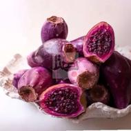 میوه کاکتوس آپونتیا تازه