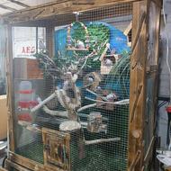 قفس چوبی پرنده ابعاد 108 در 120