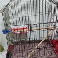 قفس طوطی عروس ـ کاسکو ـ ملنگو