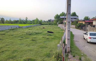 زمین 250 متری با کاربری مسکونی