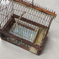 فروش قفس سهره