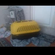 باکس سگ سالم