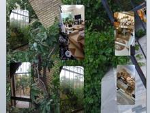 فروش یا معاوضه خانه ویلایی مستقل مهاجران با اراک در شیپور