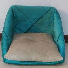 لوازم گربه و سگ