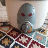 پلوپز خارجی و سالم دلونگی