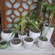 گلدان سفالی 8 عدد با زیره