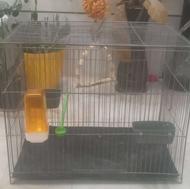 قفس پرندگان