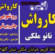 کار در کارواش