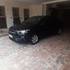 فروش شاهین بی رنگ