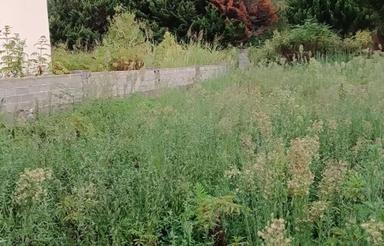 فروش ویژه یک قطعه زمین داخل شهرک