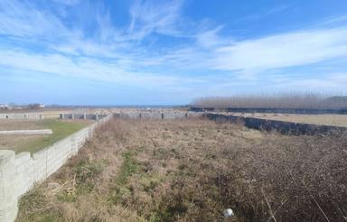 1000 متر زمین با ویو به دریا و شالیزار در روستای ساحلی