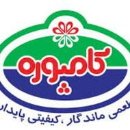 استخدام ویزیتور