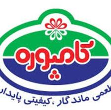 استخدام ویزیتور